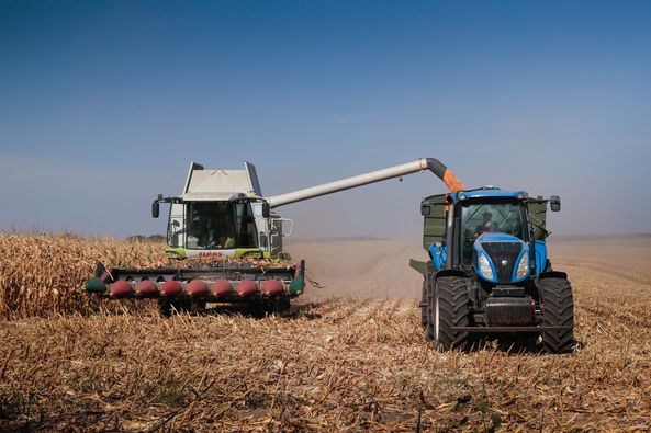 Компанія ТАС Агро успішно завершила збір кукурудзи у всіх регіонах діяльності. Середня врожайність перевищила планові показники