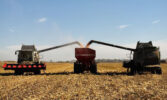 У Контінентал Фармерз Груп добігають кінця жнива пізньої групи культур