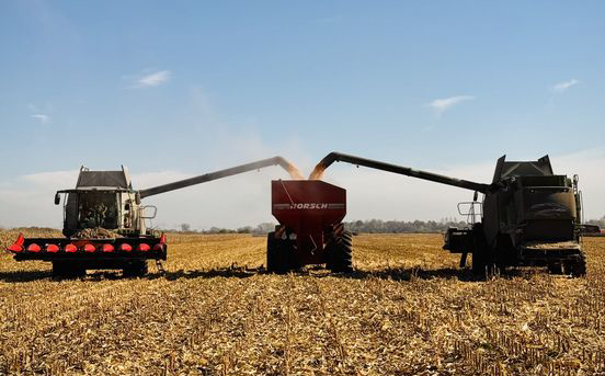 У Контінентал Фармерз Груп добігають кінця жнива пізньої групи культур