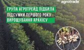 Група АГРОТРЕЙД підбила підсумки першого року вирощування арахісу