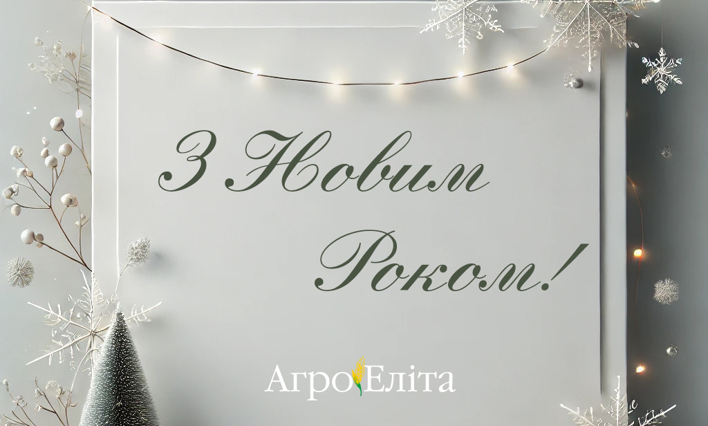 З Новим Роком!