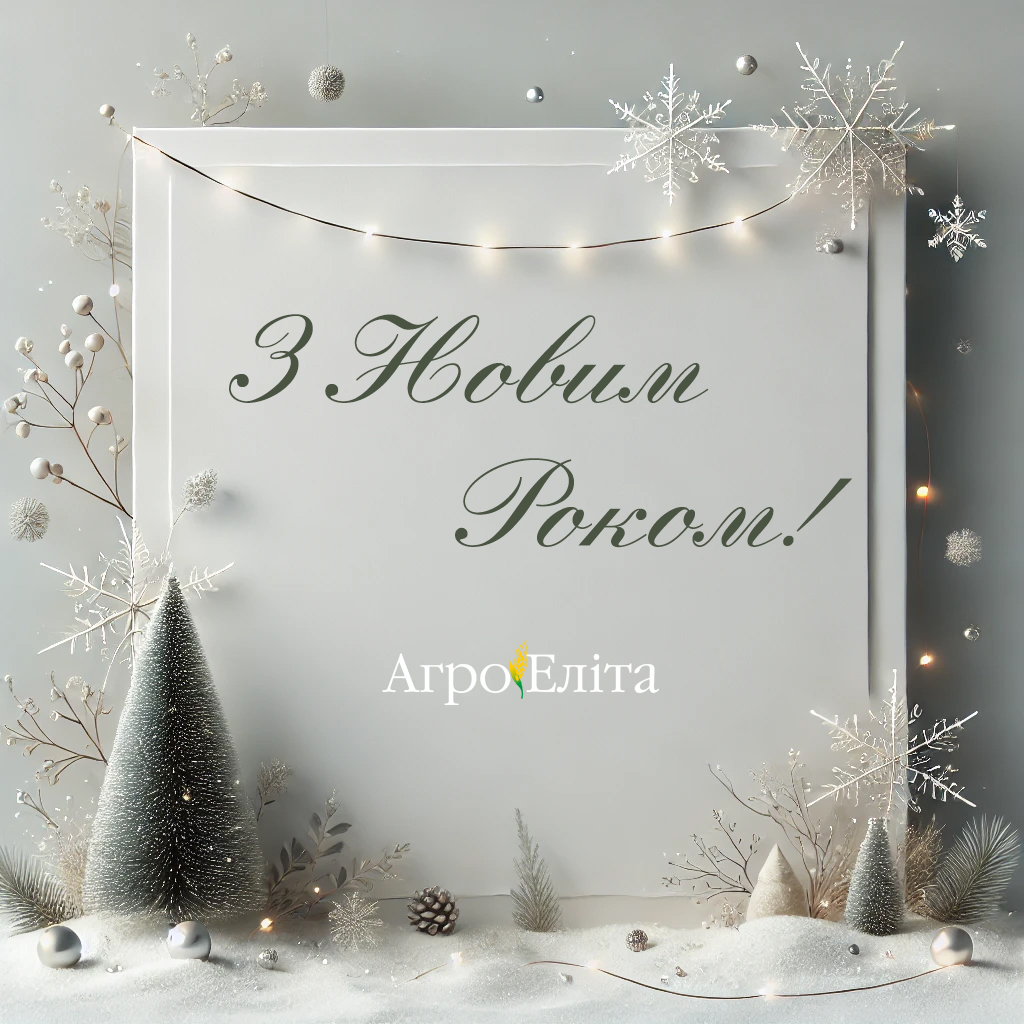 З Новим Роком!