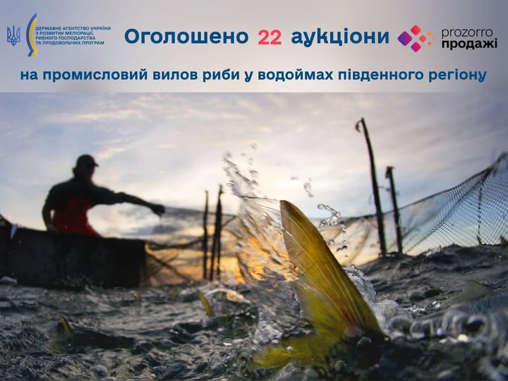 Оголошено 22 аукціони на промисловий вилов риби у водоймах південного регіону