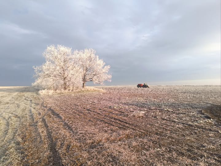 «НІБУЛОН» розпочав роботи з підживлення озимих культур