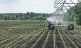 Реформа меліорації на Черкащині: 17 організацій водокористувачів та відновлення зрошення на площі 10,1 тис. га