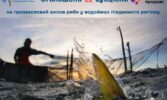 Оголошено 22 аукціони на промисловий вилов риби у водоймах південного регіону