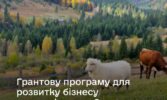 До 9 лютого продовжено прийом заявок на грантову програму від ФАО та ЄС за підтримки Мінагрополітики