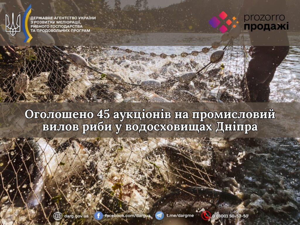 Оголошено 45 аукціонів на промисловий вилов риби у водосховищах Дніпра