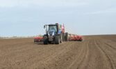 У "ПАЕК" завершують посівну коріандру та льону