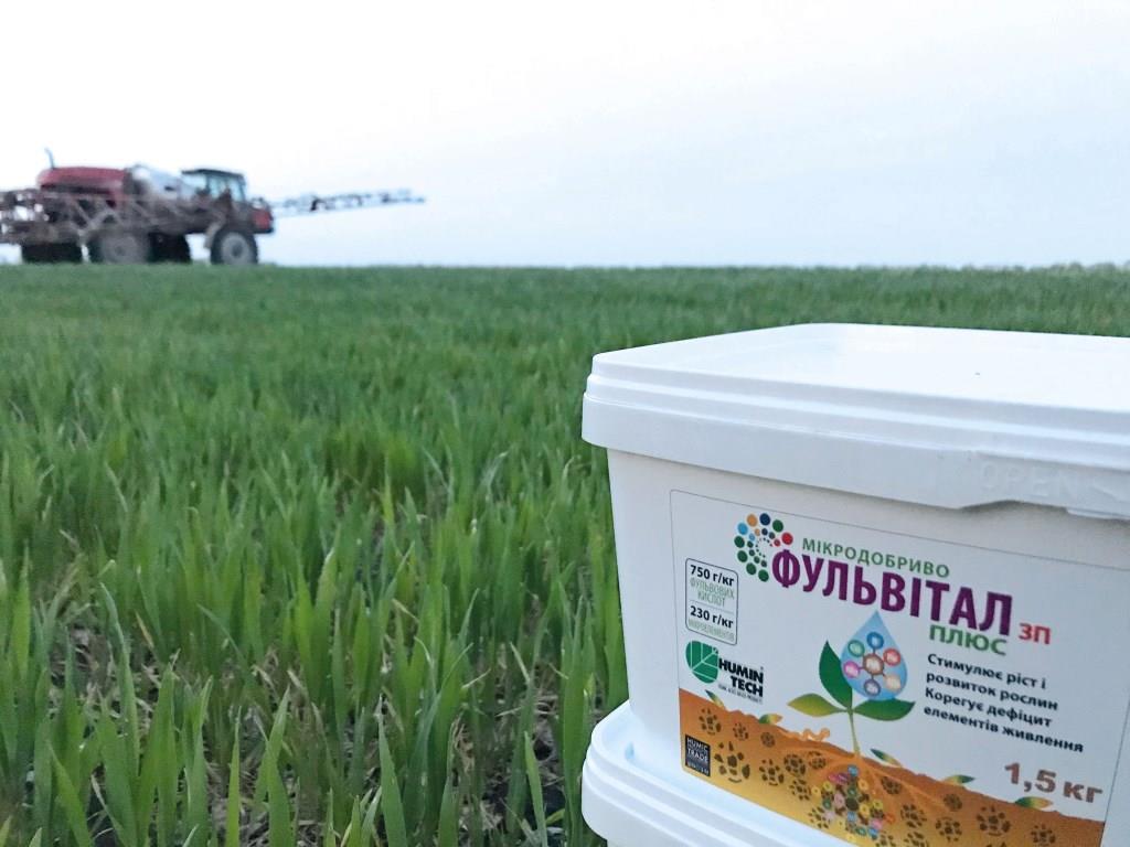 Урожай 2025 року під загрозою: як підвищити стійкість та врожайність озимих культур