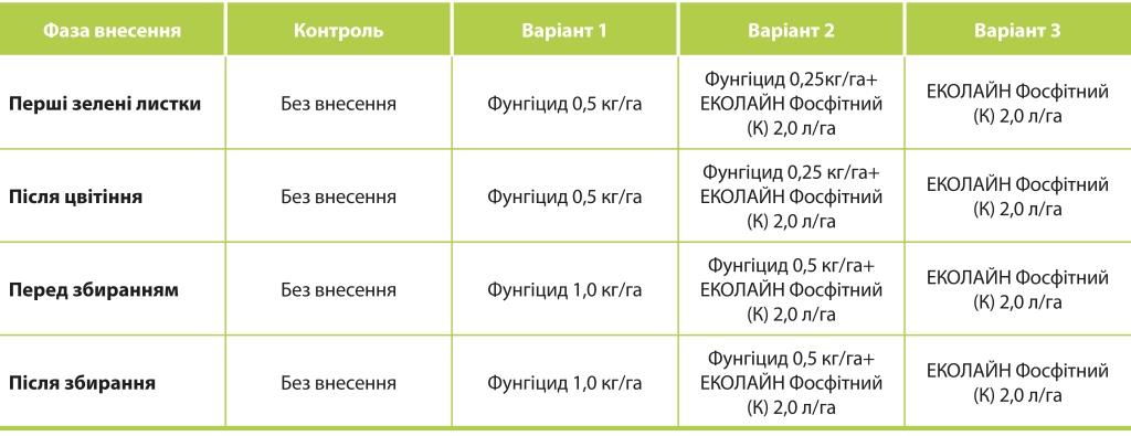 Ефективний захист винограду: еколайн фосфітний (к) у поєднанні з фунгіцидами