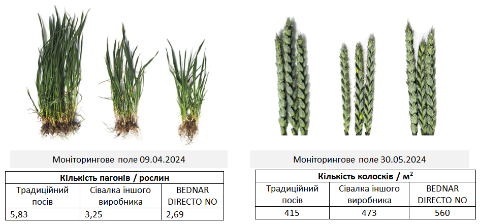 Посів 05.10.2023