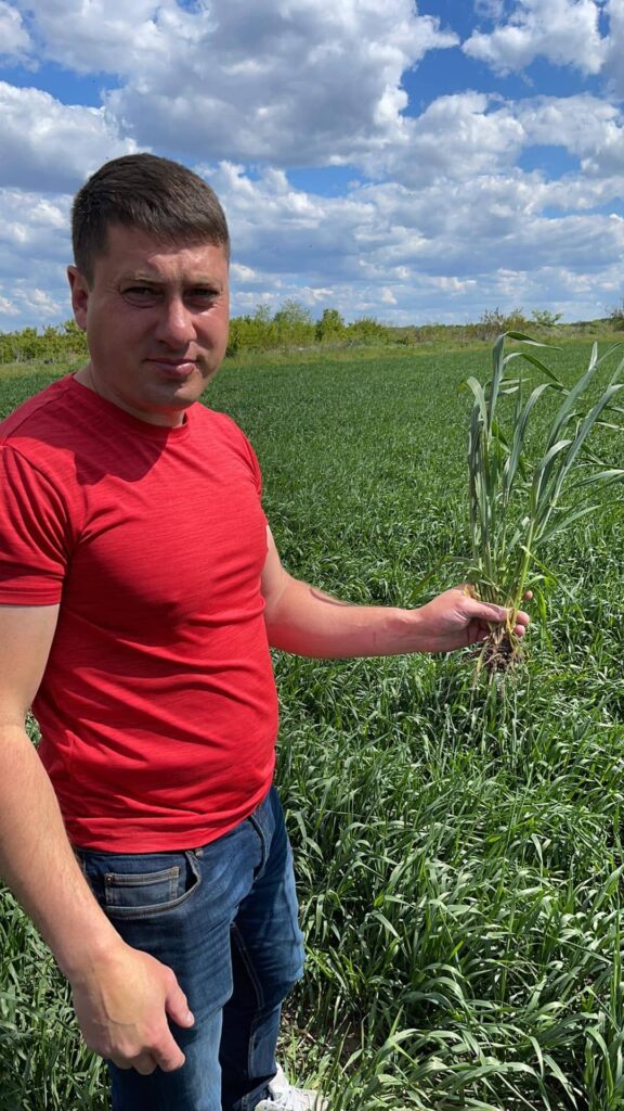 Збереження вологи, мінімізація обробітку, точний посів: технологічна стратегія «Полтава Агро» з BEDNAR