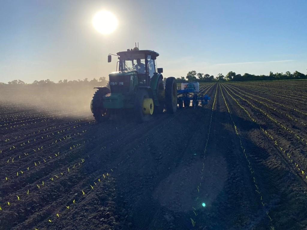 Весняна посівна-2025. Як аграріям максимально використати наявні можливості