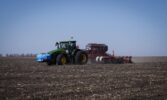 Компанія ТАС Агро почала вирощувати технічні коноплі