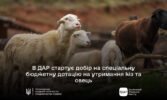 В ДАР стартує добір на спеціальну бюджетну дотацію на утримання кіз та овець