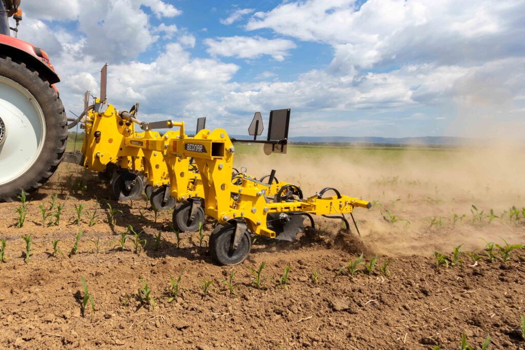 Міжрядна культивація як ключ до чистого поля: досвід господарства з Харківщини