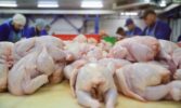 Курятина дорожчає так само, як і більшість продуктів