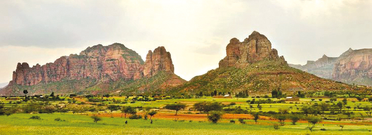 Агросектор Ефіопії: основа економіки та виклики сучасності