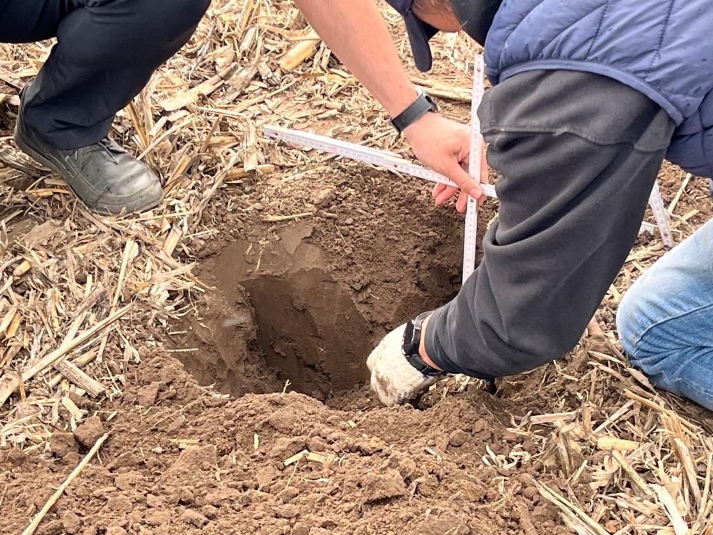 Ефективні технології для прибутку: як Strip-till допомагає аграріям