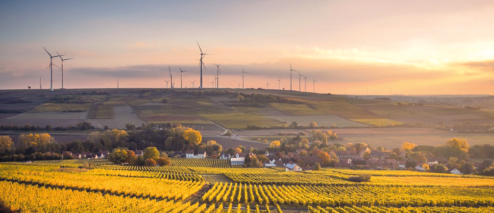 Агросектор Німеччини: між традиціями, технологіями та сталим розвитком