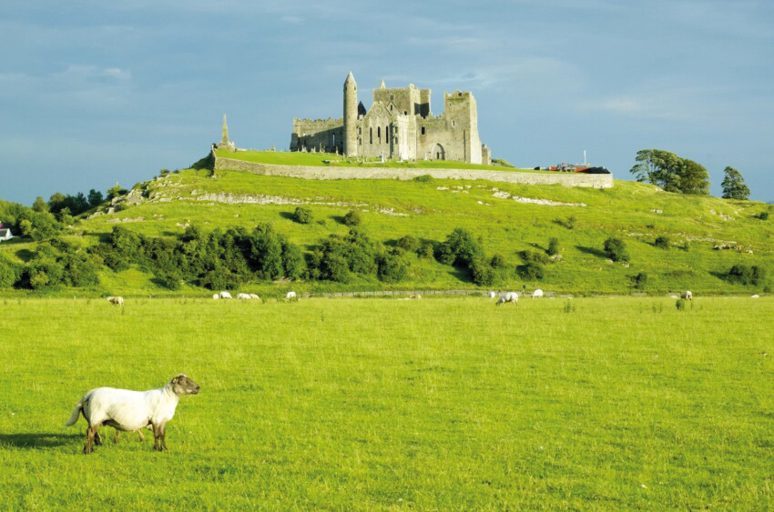 Великий голод в Ірландії: трагедія, що змінила націю