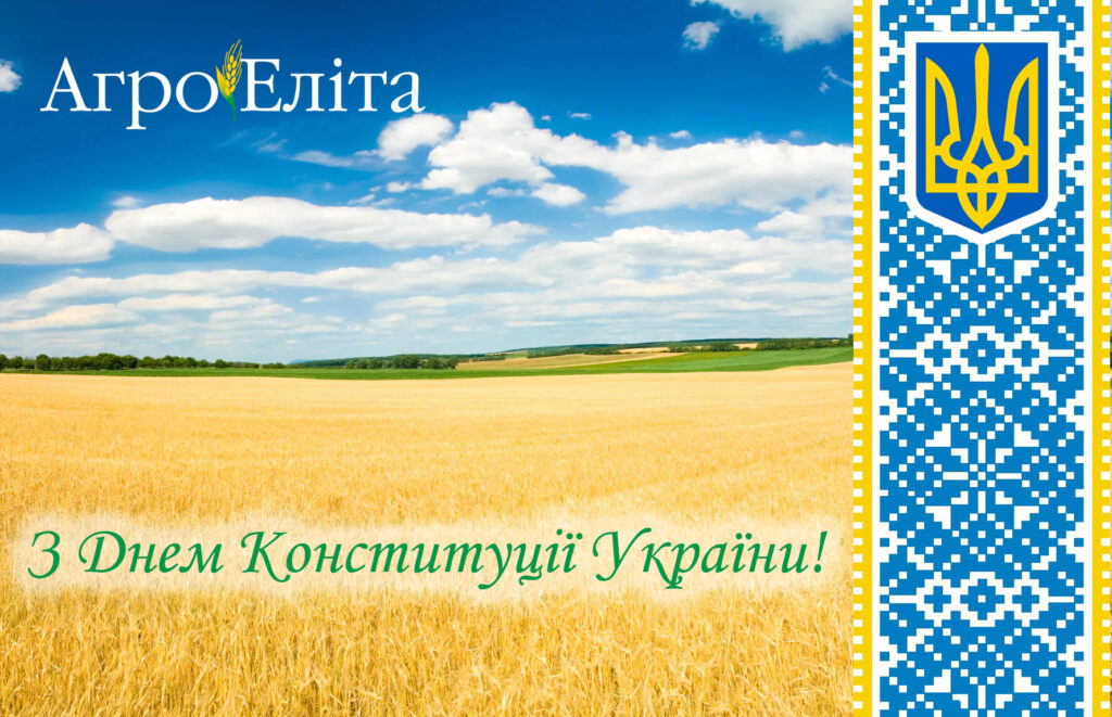 З Днем Конституції України!