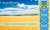 З Днем Конституції України!