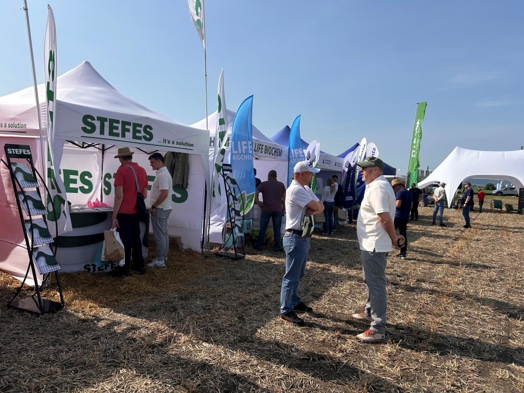 Агропазли 2025