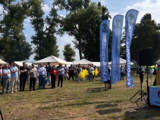 Нове Зернятко 2025