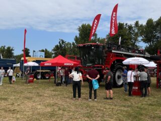 Нове Зернятко 2025