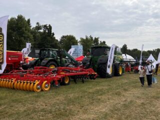 Нове Зернятко 2025