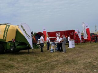 Нове Зернятко 2025