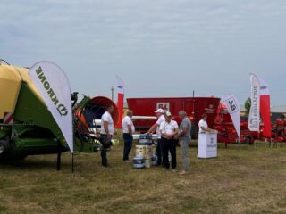 Нове Зернятко 2025