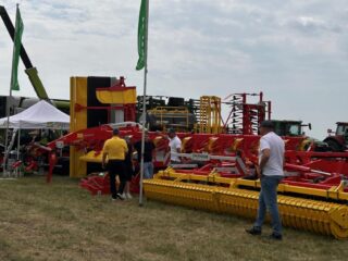 Нове Зернятко 2025