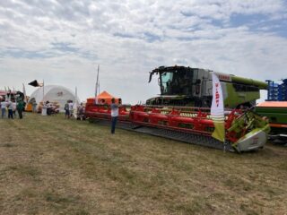 Нове Зернятко 2025