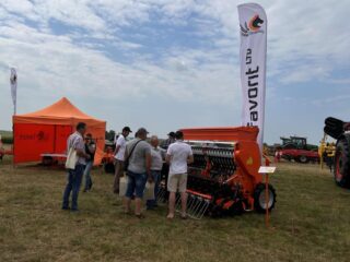 Нове Зернятко 2025