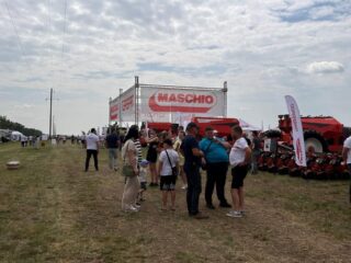 Нове Зернятко 2025