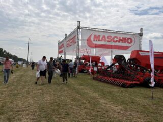 Нове Зернятко 2025