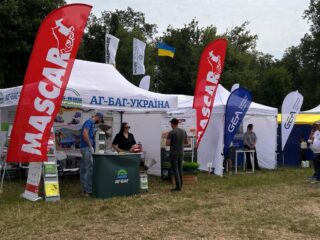 Нове Зернятко 2025