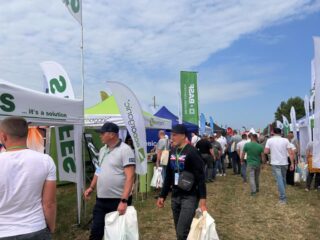 Нове Зернятко 2025