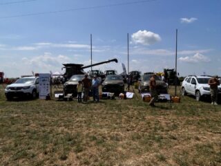 Нове Зернятко 2025