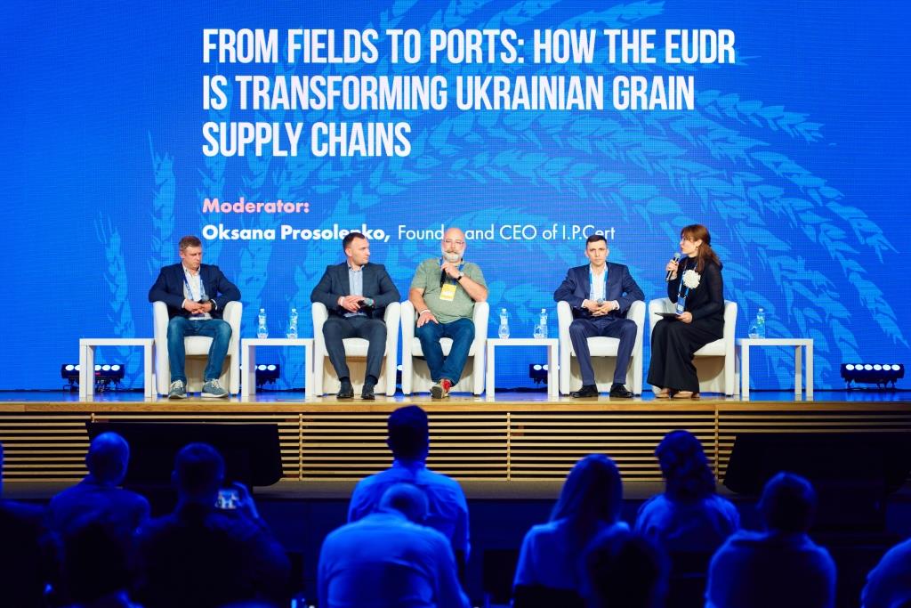 У пошуках маржі: шлях українського зерна у 2025 році