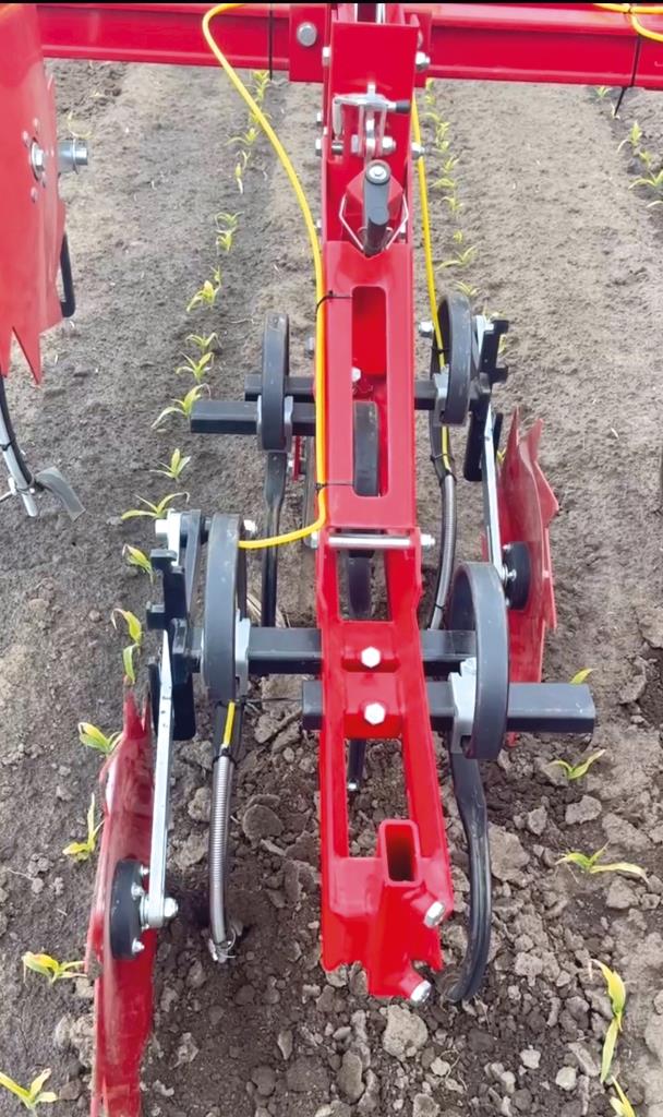 Культиватор майбутнього вже в полі: як «Галицькі лани» борються з бур’янами без гербіцидів