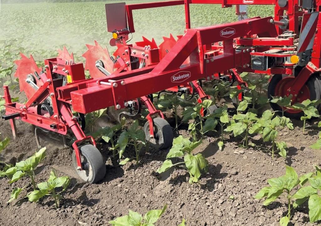 Культиватор майбутнього вже в полі: як «Галицькі лани» борються з бур’янами без гербіцидів