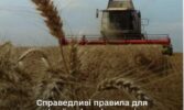 Міжвідомча комісія з міжнародної торгівлі ухвалила рішення на підтримку українських овочівників