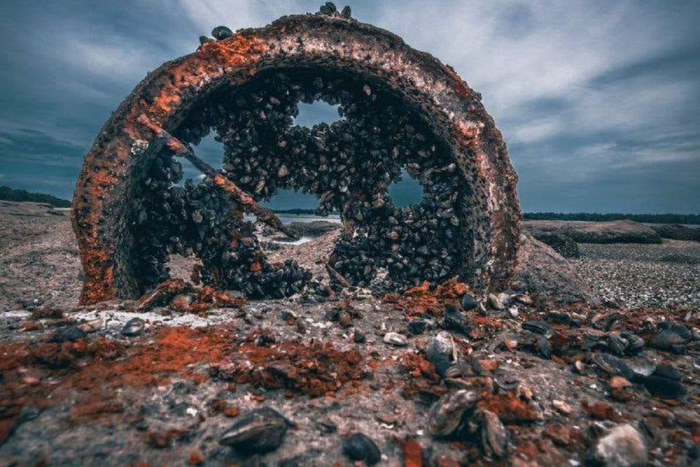 На дні колишнього Каховського водосховища залишилися речовини, які можуть впливати на рослини та тварин