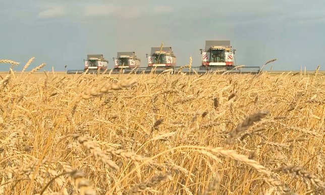 Агросектор Казахстану: як степи перетворюються на золоті поля