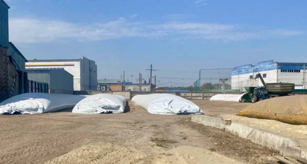 Стартує новий етап програми «Зберігання зерна 2025»: підтримка для малих та середніх агровиробників