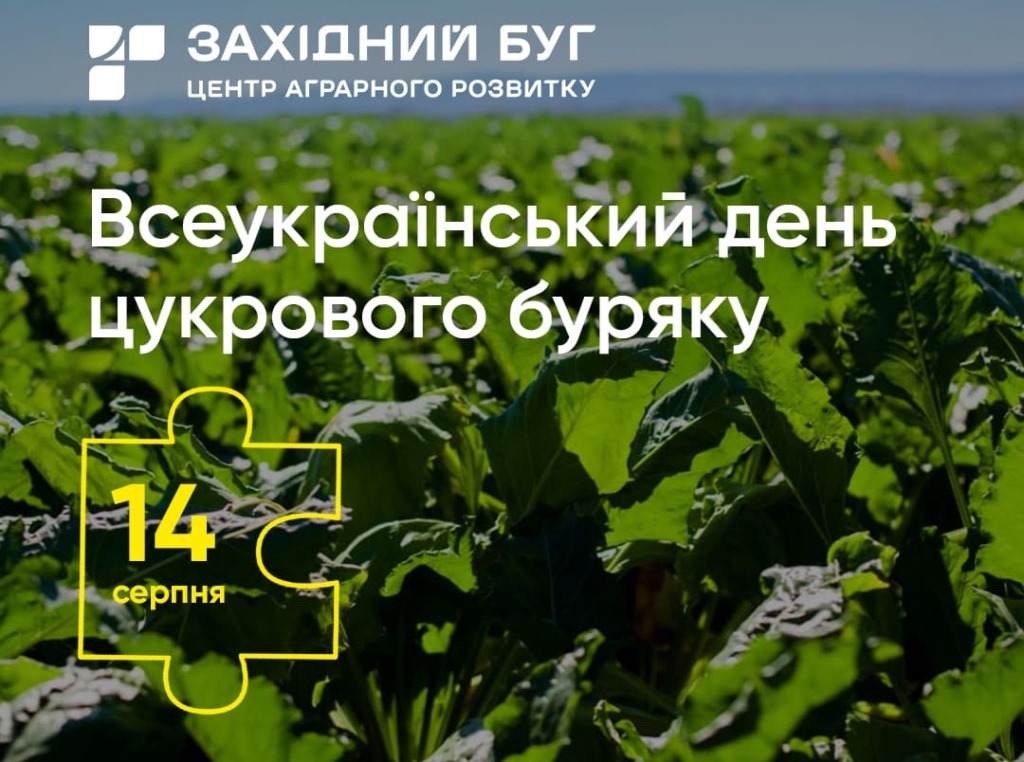 Всеукраїнський день цукрового буряку — головна подія для бурякових аграріїв відбудеться 14 серпня на Львівщині